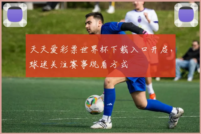 天天爱彩票世界杯下载入口开启，球迷关注赛事观看方式