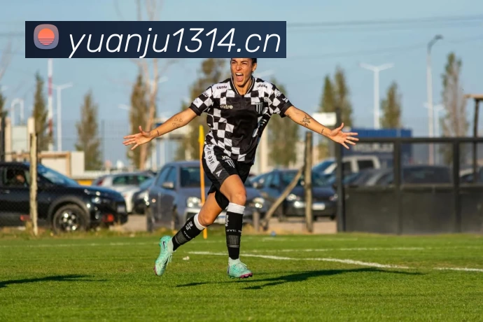 YY易游·体育(中国区)官方网站发展历程